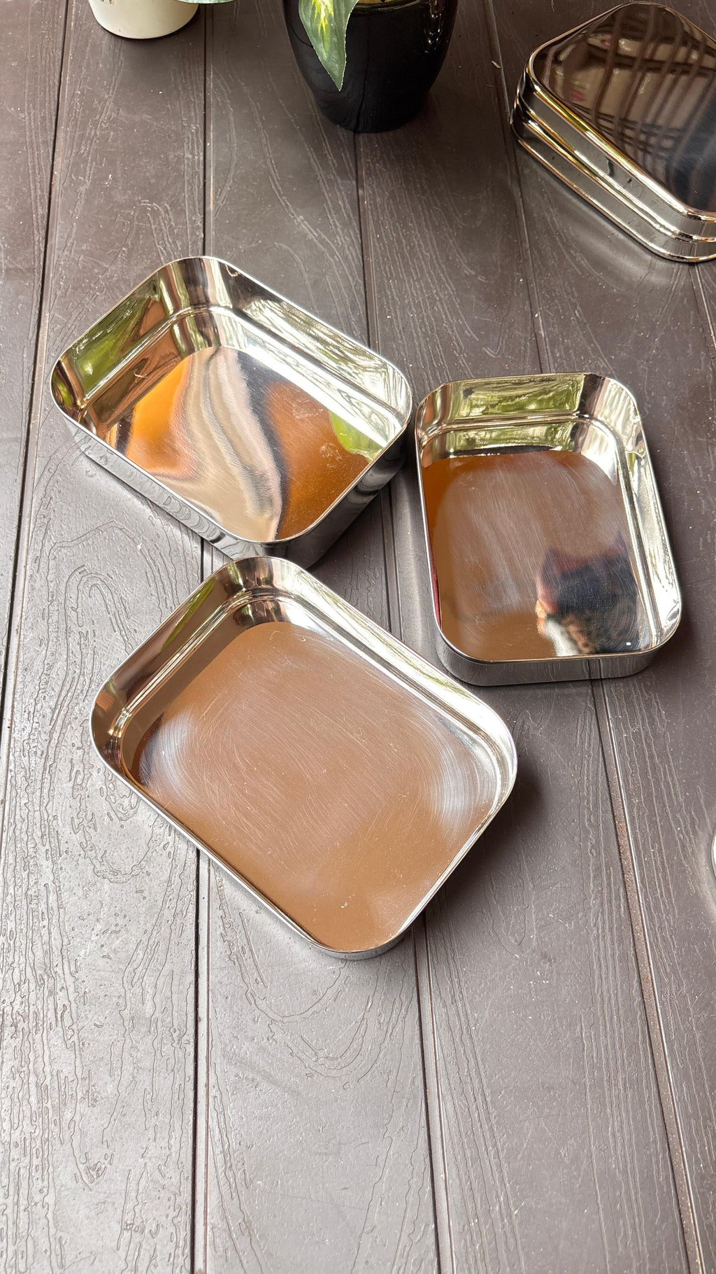 Nuts & Seeds Case