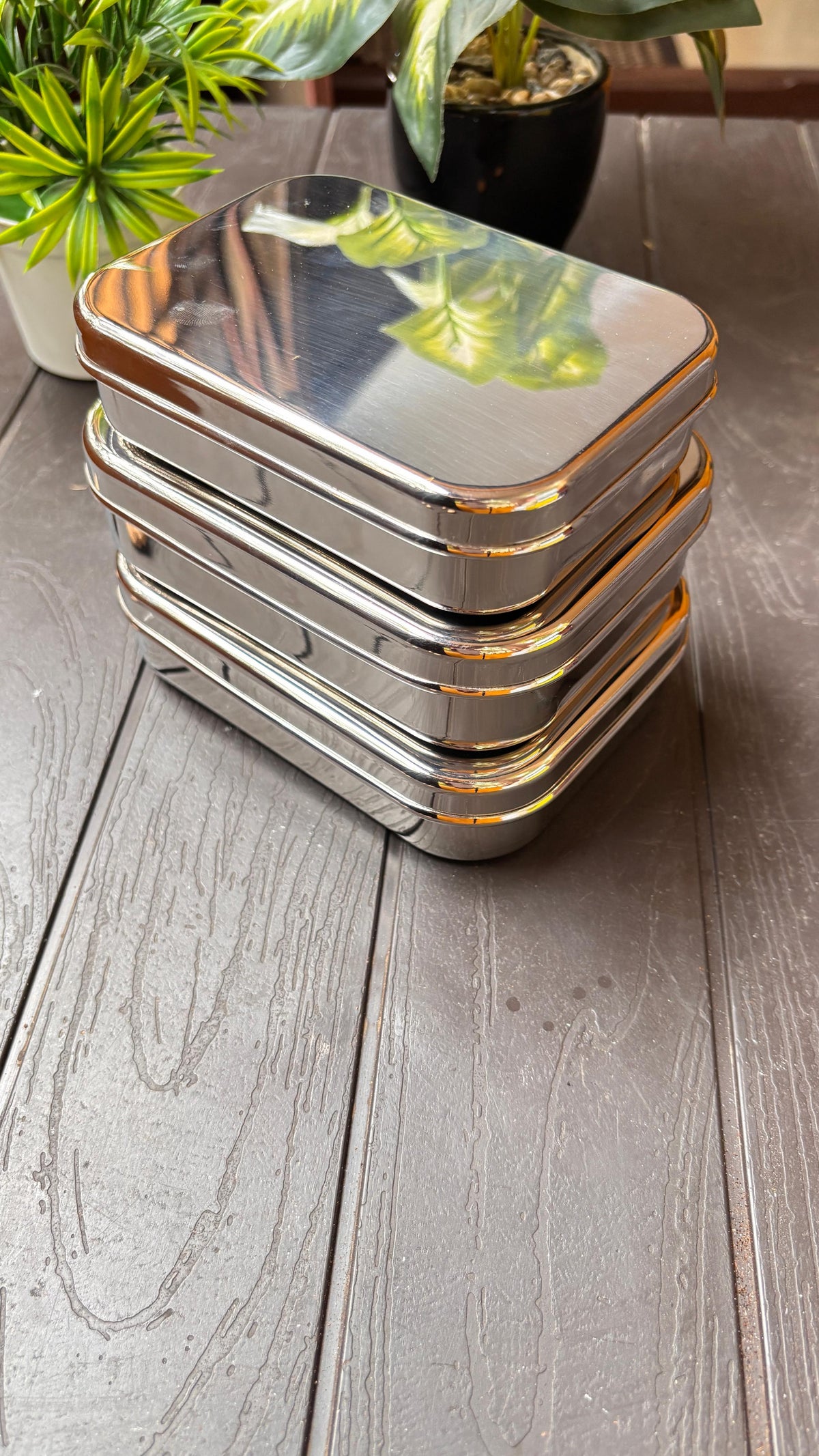 Nuts & Seeds Case