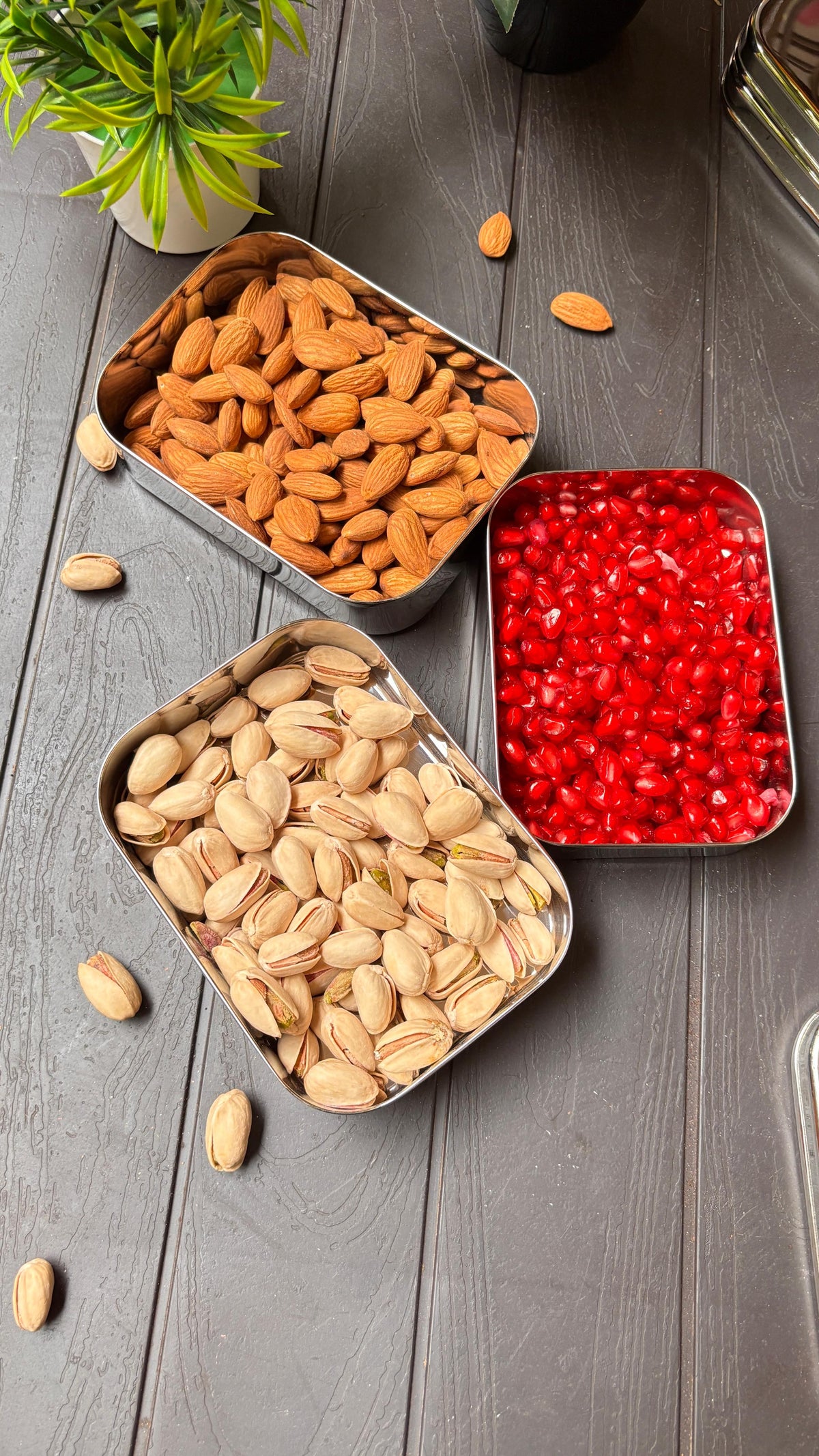 Nuts & Seeds Case