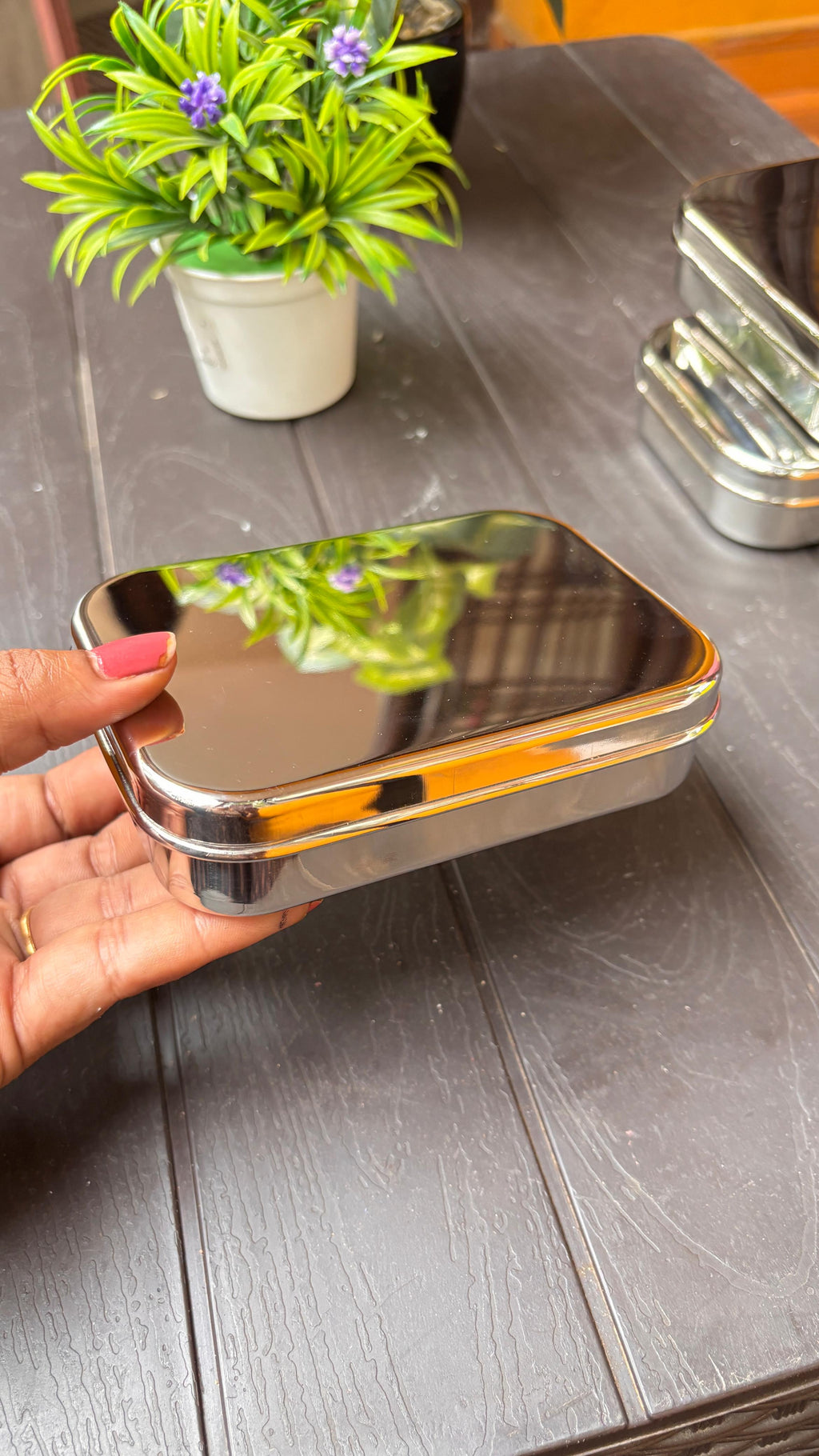 Nuts & Seeds Case