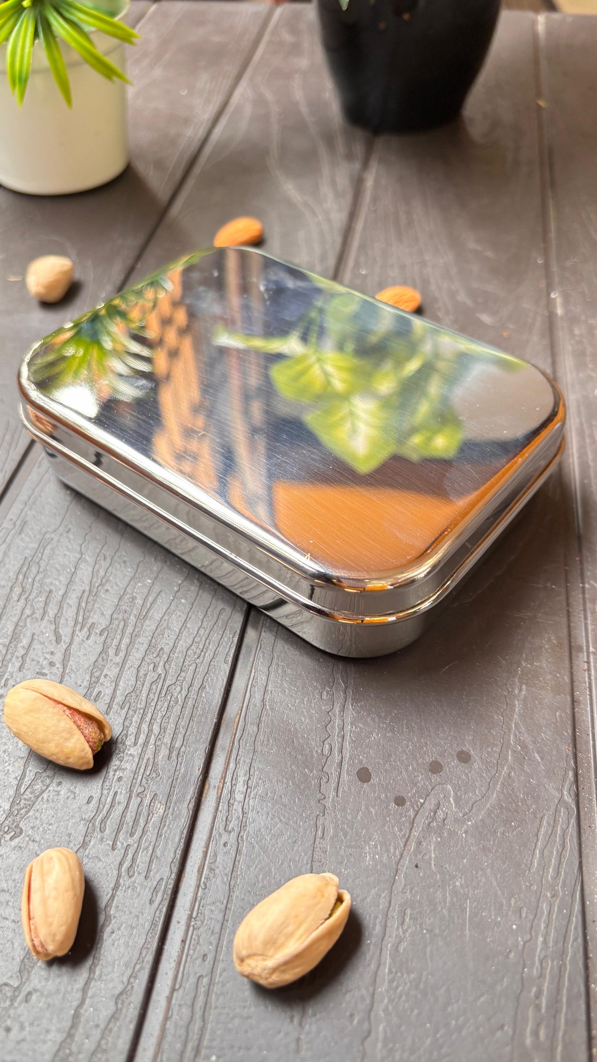 Nuts & Seeds Case