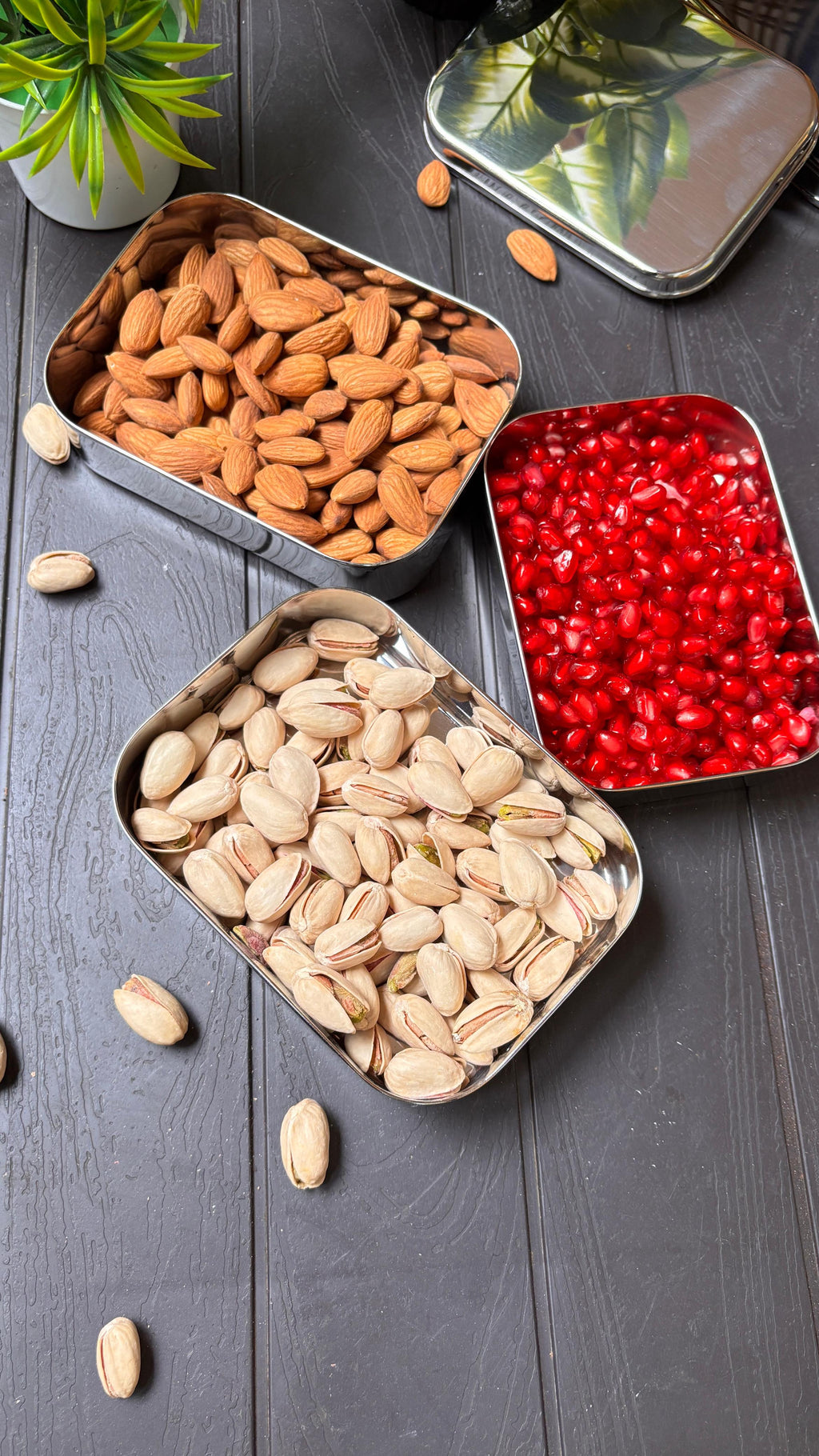 Nuts & Seeds Case